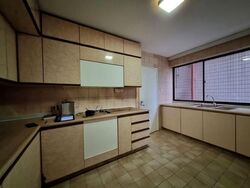 The Cairnhill (D9), Condominium #557840991